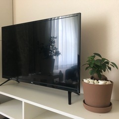 テレビ