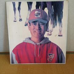 高倉健  JRA パネルの画像