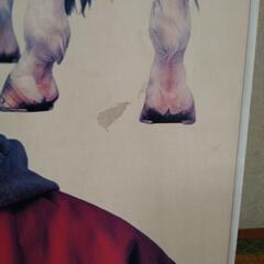 高倉健  JRA パネルの画像