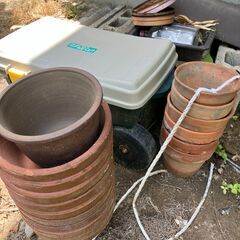 鉢植え　中古品の画像