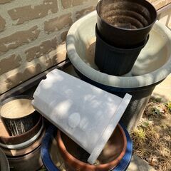 鉢植え　中古品の画像