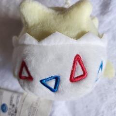 ポケモン　トゲピーの画像