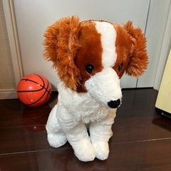 大ブレーク中デコピンぬいぐるみの画像