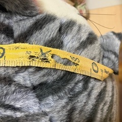 【受け渡し予定者決定】ぬいぐるみ(3品)の画像