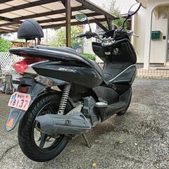 【終了】ホンダPCX125の画像