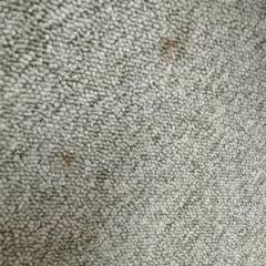 カーペット　薄いグリーンの画像