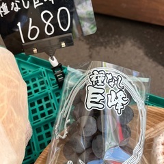福岡県産🍇巨峰初物入荷しました！✨