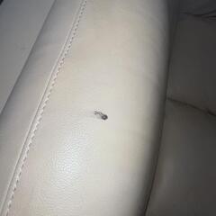 決まりました。三人掛けソファーの画像