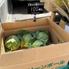 春キャベツ・オロフレ🍅各1点¥100