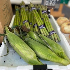 スイートコーン入荷しました✨