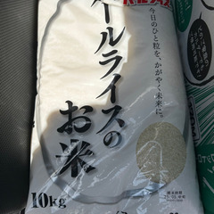お米　パールライス　10KG