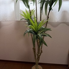ニトリ 造花ドラセナ 観葉植物 フェイクグリーン　インテリアナチ...