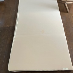 トゥルースリーパー　シングルサイズ