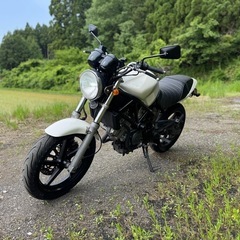 ホンダ　バイク　250cc メンテナンス済み　VTR250 の画像