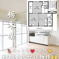 【栃木県・城東】1LDK/💓🐕‍🦺ペット相談可🐈💓【初期費用ゼロ🙌】