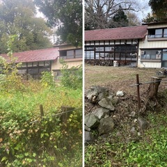 【見積無料】草取り・草取り・伐採・抜根の予約開始します。