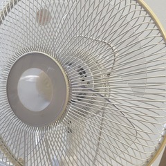 【お渡し予定者決まりました】扇風機！の画像