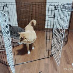 値下げ　★犬のケージ　ペットサークルの画像