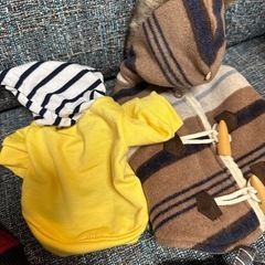 子犬　パピー　小型犬　 抱っこ紐　リード　服　犬グッズまとめ売りの画像