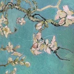 ゴッホ美術館公式　アートパネル　花咲くアーモンドの木の枝　の画像