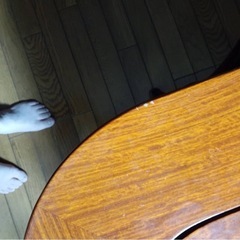 アンティークダイニングテーブル(花梨の木)の画像