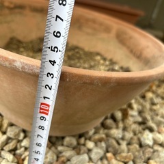 植木鉢
の画像