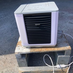ここひえ