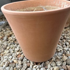 植木鉢
の画像