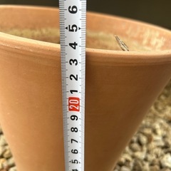 植木鉢
の画像