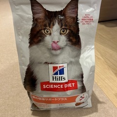 ねこ鍋、各種猫のご飯の画像