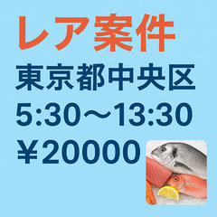 【午前だけで2万円！】中央区｜5：30～13：30｜水産物ルート配送
