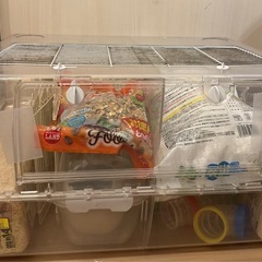 ハムスター飼育セット(ルーミィ60) (ちょこ) 東淀川のその他の