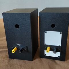 中古　パッシブ化　Fostex PM0.3の画像