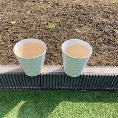 植木鉢　8号2個セットの画像
