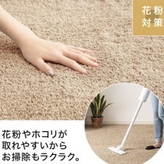 ニトリ　ラグNクリーンウォッシュ BE の画像