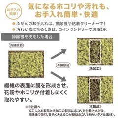 ニトリ　ラグNクリーンウォッシュ BE の画像