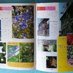 小学館の学習百科図鑑 植物観察と育て方の画像