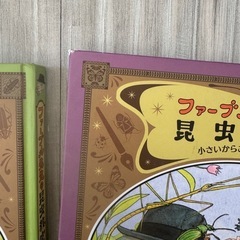 ファーブル先生の昆虫教室の画像