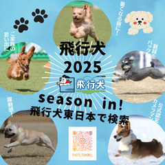 わんちゃん撮影会「飛行犬®️」東北開催のお知らせ