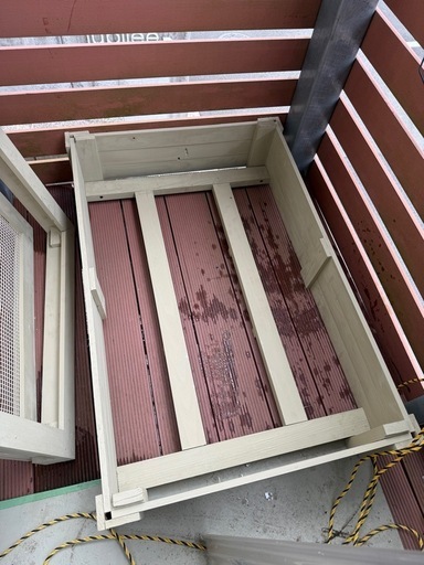 メダカ 金魚 トロ船ケース 引き取り限定