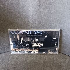 (中古CD)愛を語るより口づけをかわそう‐WANDS