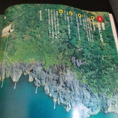 最終値下げ沖縄の海と釣りの画像