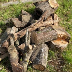 薪あげます
の画像