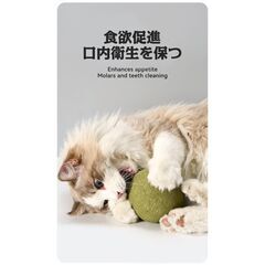 【新品同様】猫　犬　おもちゃ　またたびボール　10cm　舐めて転がして一日中遊べる！の画像