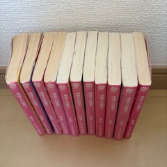 携帯小説文庫 地味子の秘密 全巻セットの画像