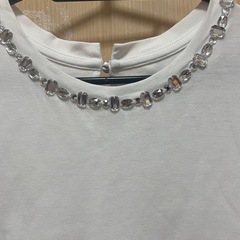 PLST ビジュートップスの画像