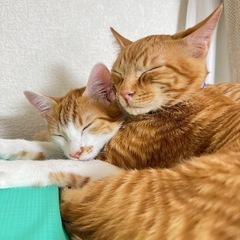 仲良し兄妹