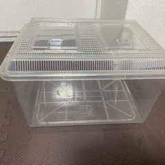 虫かご 特大 