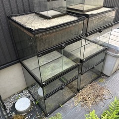 エキゾテラ グラステラリウム4545の画像