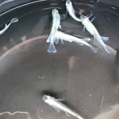 決まりました◆　　　　　　　　　　　　　　　　　　　　　　　　　...